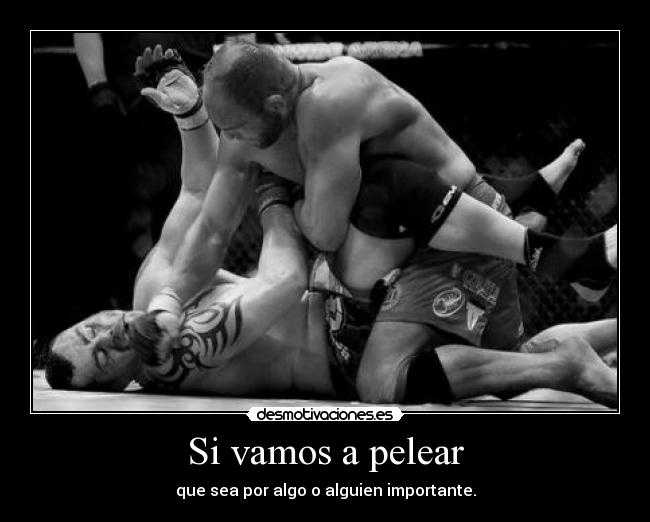 carteles vamos pelear desmotivaciones