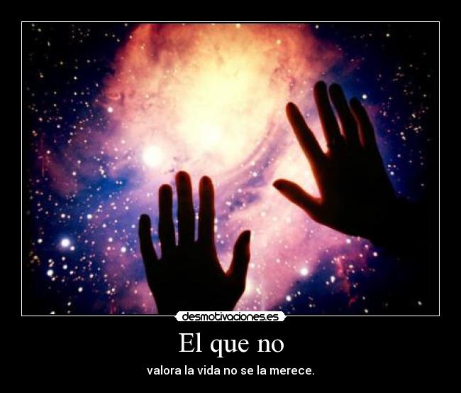 El que no - valora la vida no se la merece.
