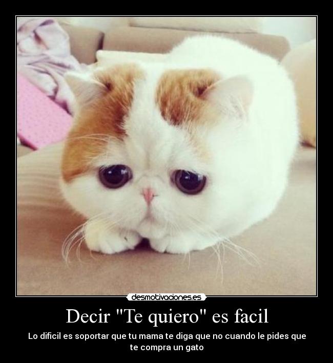 Decir Te quiero es facil -