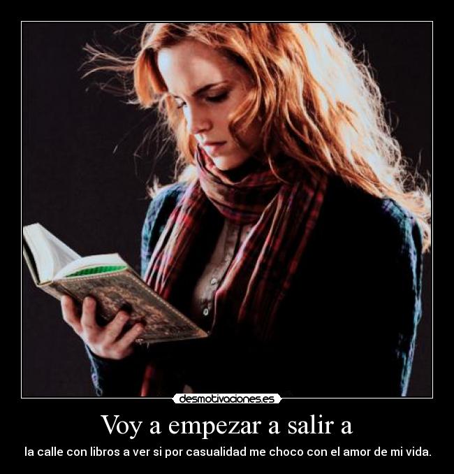 carteles harry potter desmotivaciones