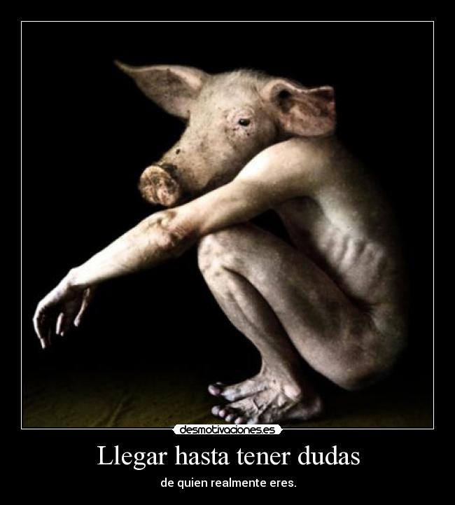 carteles cerdito desmotivaciones