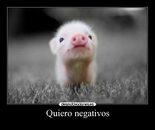 Quiero negativos - 