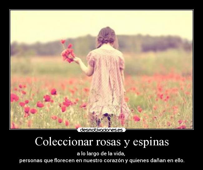 Coleccionar rosas y espinas - a lo largo de la vida, 
personas que florecen en nuestro corazón y quienes dañan en ello.