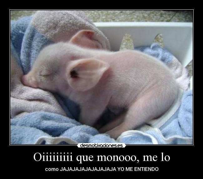 Oiiiiiiiii que monooo, me lo -