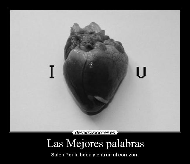 Las Mejores palabras - 