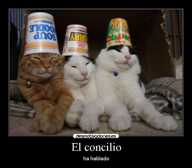 carteles gatosconcilio desmotivaciones