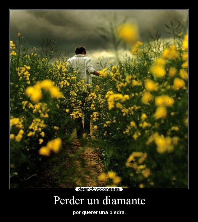 Perder un diamante - por querer una piedra.