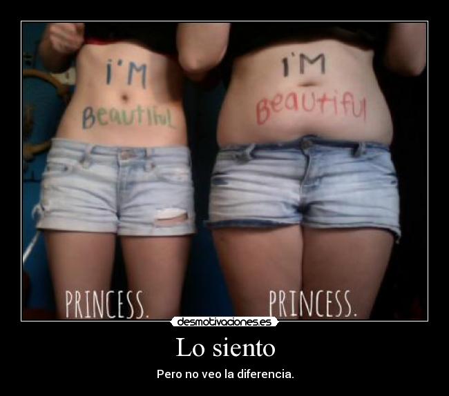 carteles bullyn princess diferencia gordita flaca normal desmotivaciones