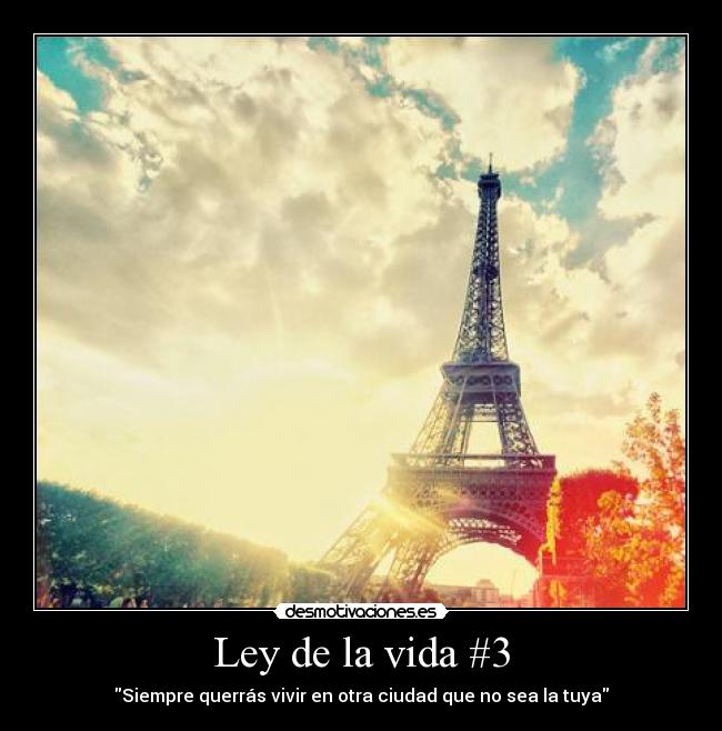 Ley de la vida #3 -