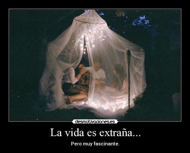 La vida es extraña... - Pero muy fascinante.