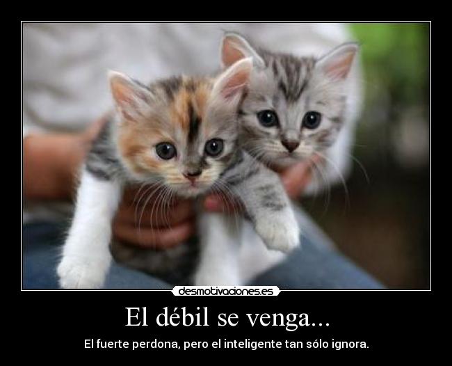 El débil se venga... - El fuerte perdona, pero el inteligente tan sólo ignora.