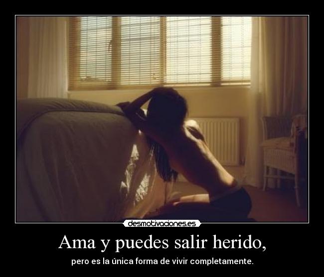 Ama y puedes salir herido, -