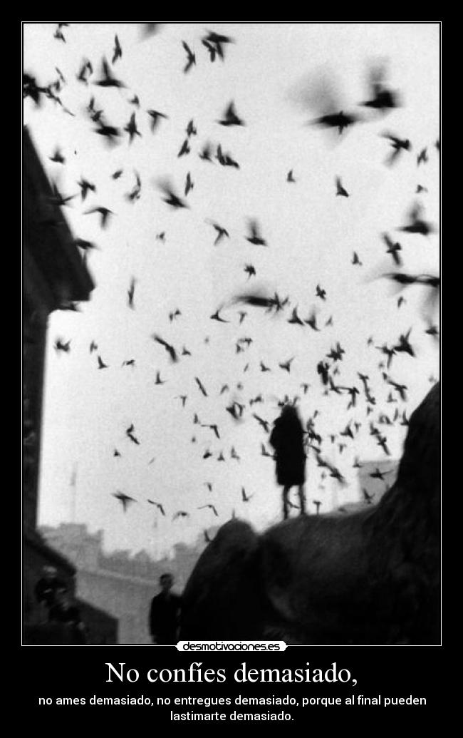 No confíes demasiado, - no ames demasiado, no entregues demasiado, porque al final pueden
lastimarte demasiado.