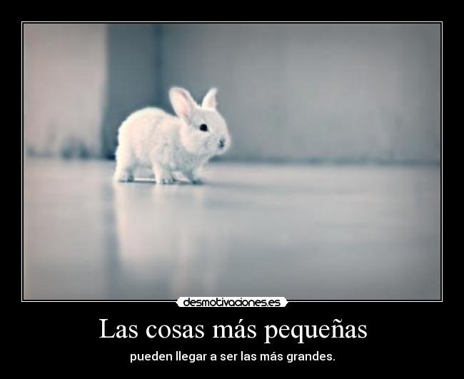 Las cosas más pequeñas -
