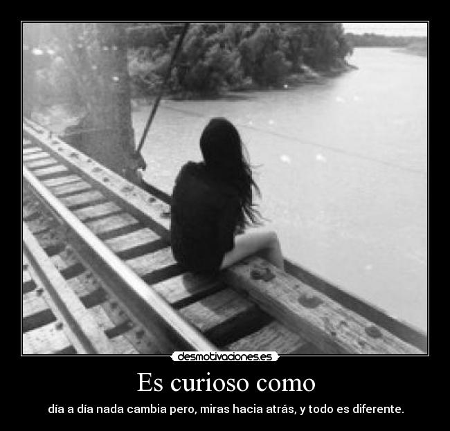 Es curioso como - día a día nada cambia pero, miras hacia atrás, y todo es diferente.