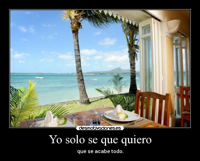 carteles palm tree desmotivaciones