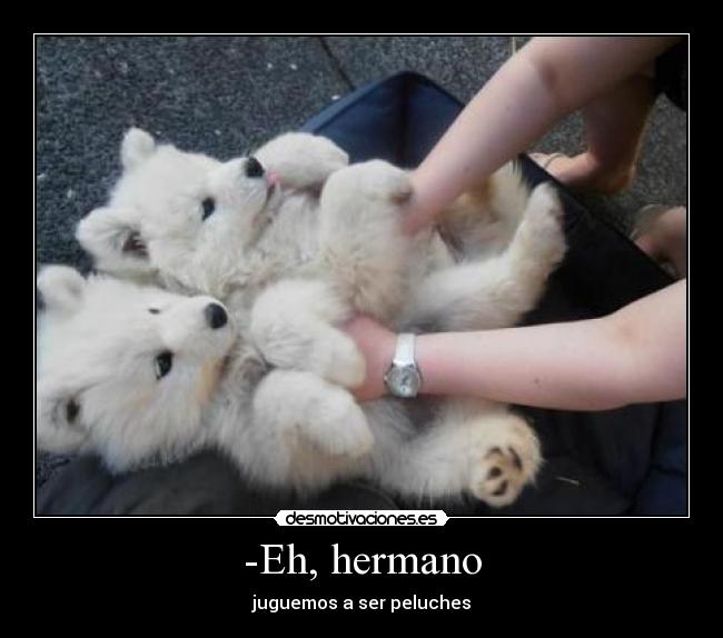 carteles hermano lobo lobos peluches tierno desmotivaciones
