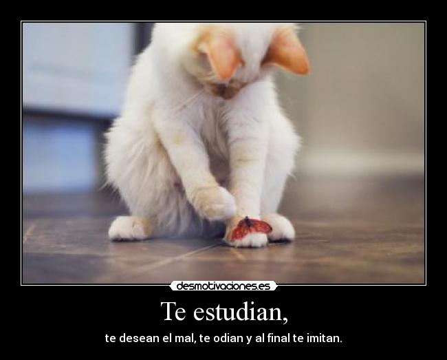 Te estudian, - te desean el mal, te odian y al final te imitan.