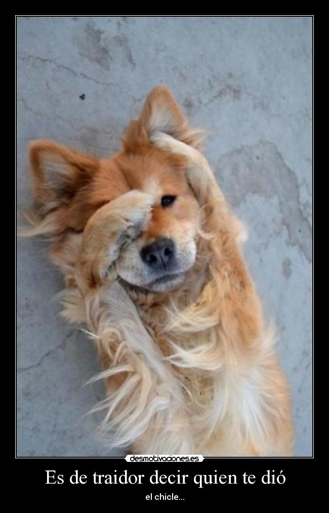 Es de traidor decir quien te dió - el chicle...