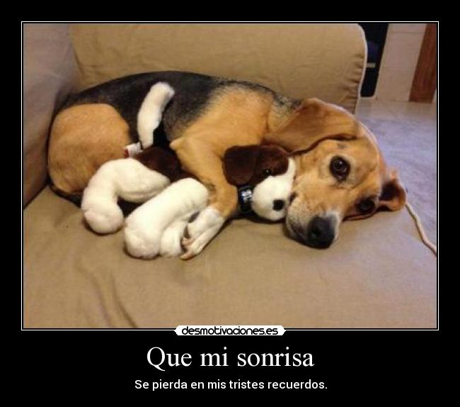 carteles sonrisa recuerdoss desmotivaciones