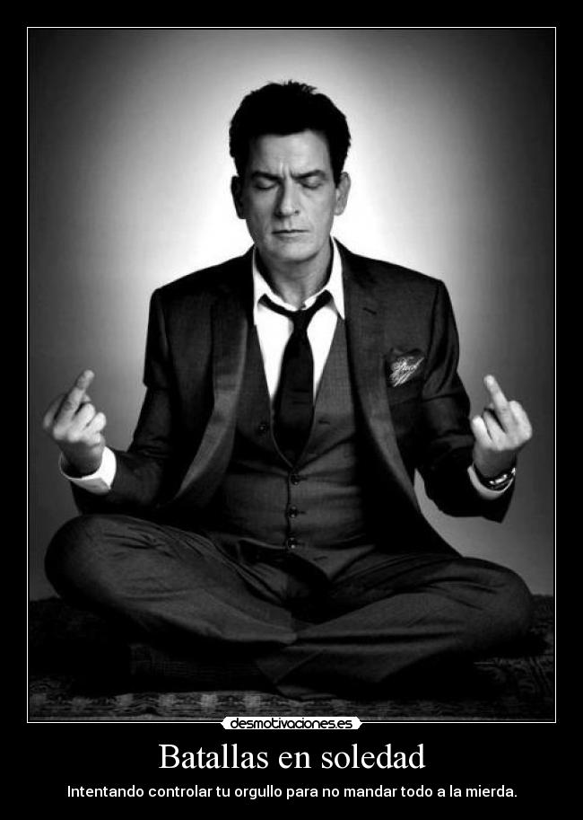 Batallas en soledad - 