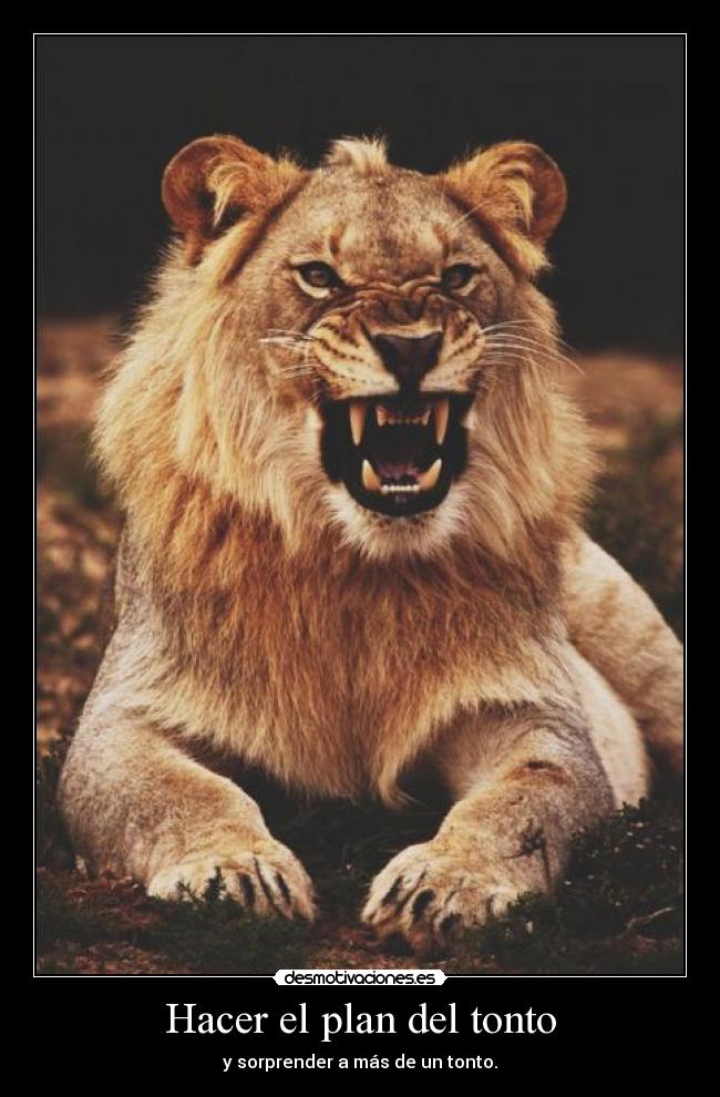 Hacer el plan del tonto - y sorprender a más de un tonto.