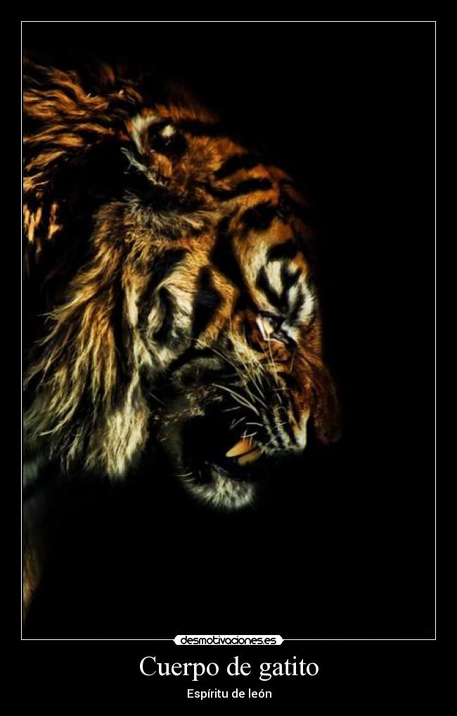 carteles dcdcdcdcd desmotivaciones