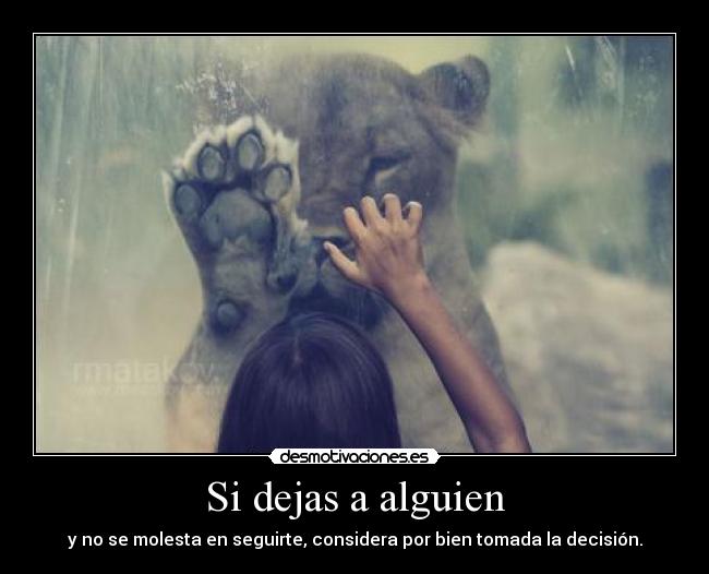 Si dejas a alguien - y no se molesta en seguirte, considera por bien tomada la decisión.