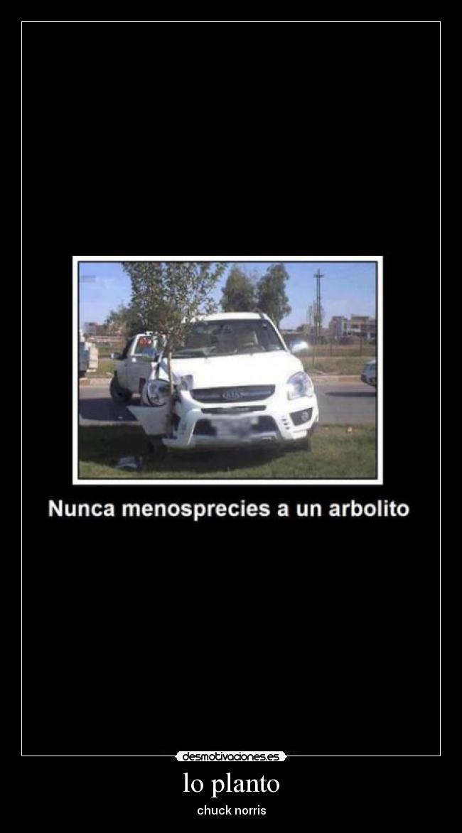 carteles chuck norris desmotivaciones