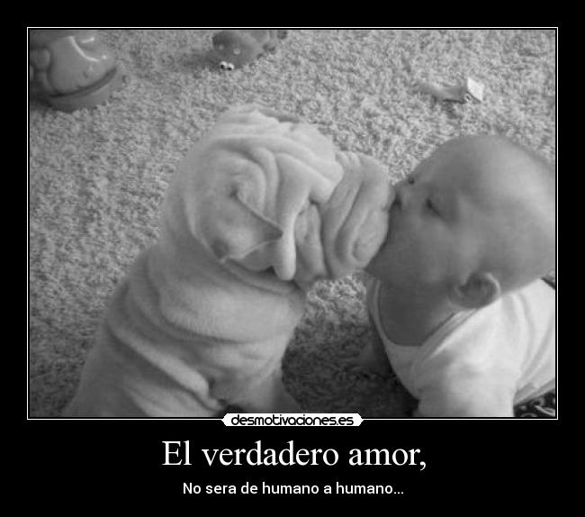 El verdadero amor, - No sera de humano a humano...