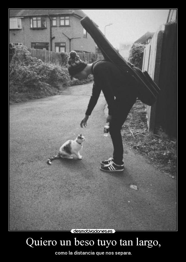 carteles sdfgh desmotivaciones