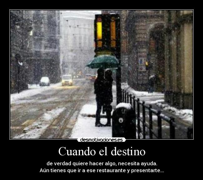 Cuando el destino - de verdad quiere hacer algo, necesita ayuda.
Aún tienes que ir a ese restaurante y presentarte...