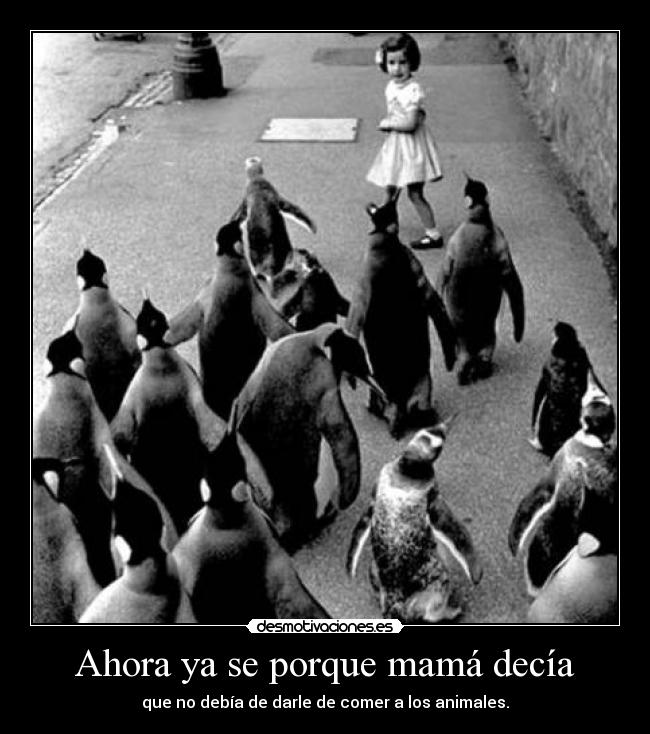 Ahora ya se porque mamá decía - que no debía de darle de comer a los animales.