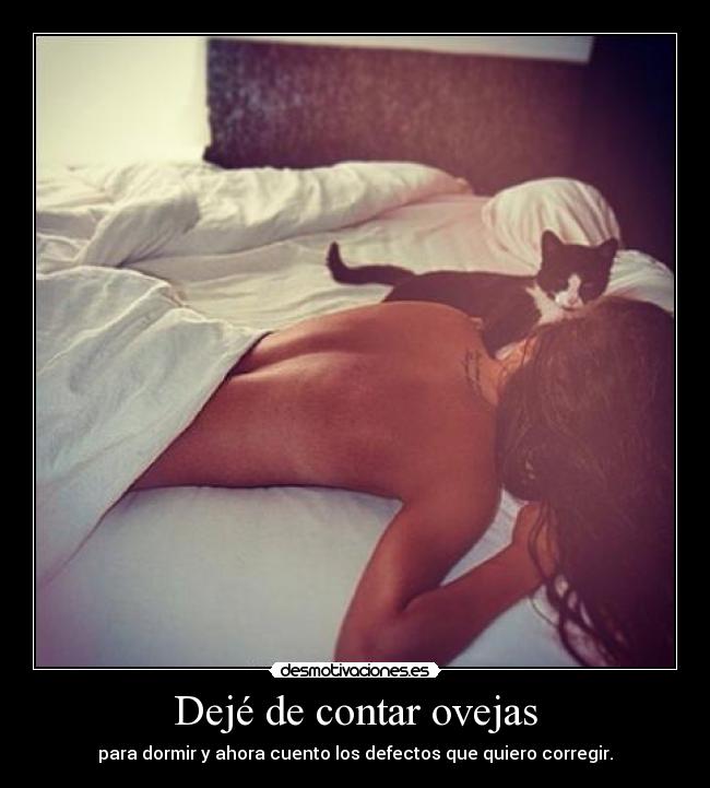 Dejé de contar ovejas - para dormir y ahora cuento los defectos que quiero corregir.