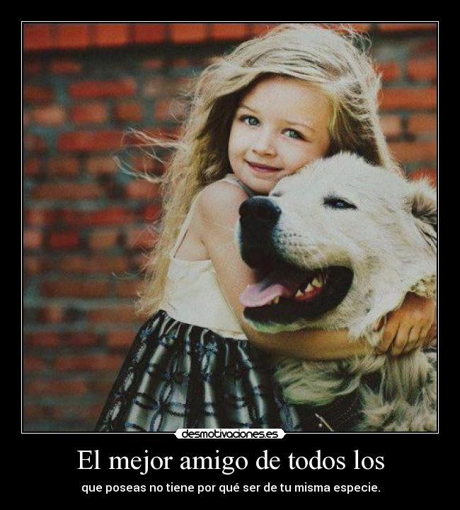 El mejor amigo de todos los - 