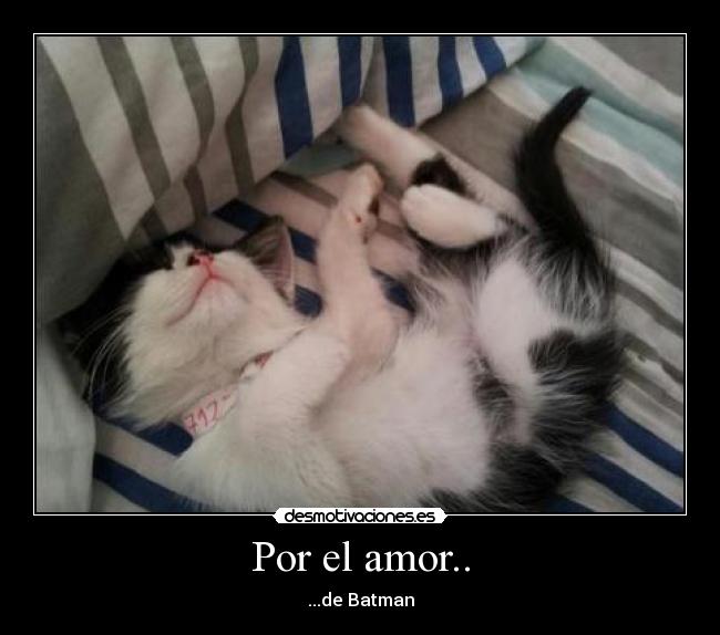 Por el amor.. - ...de Batman