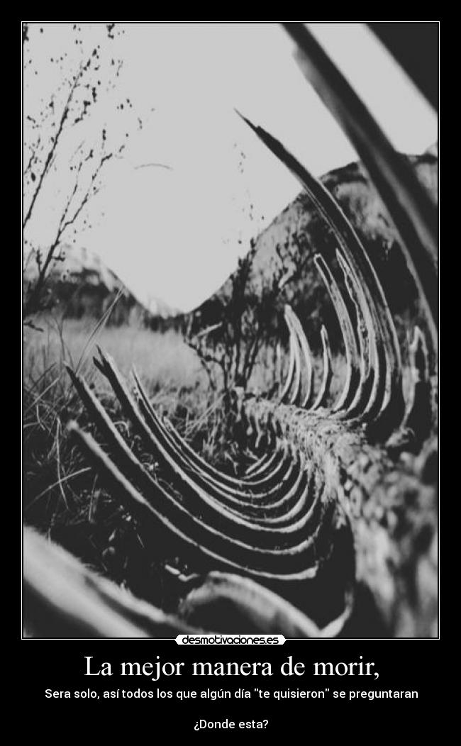 La mejor manera de morir, - Sera solo, así todos los que algún día te quisieron se preguntaran
¿Donde esta?