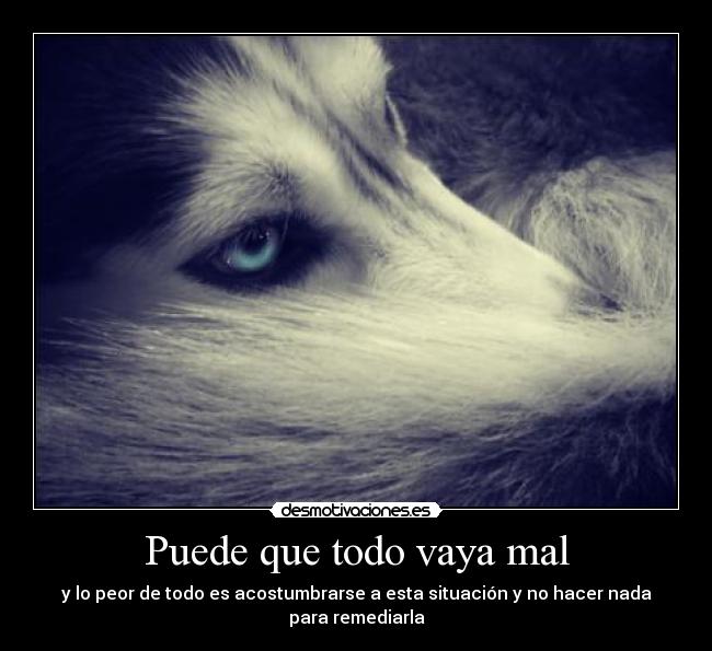 Puede que todo vaya mal - y lo peor de todo es acostumbrarse a esta situación y no hacer nada para remediarla