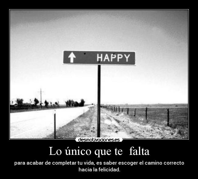 carteles directionerloveforever desmotivaciones