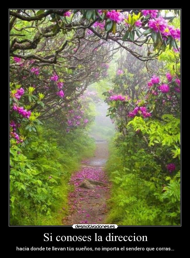 carteles camino desmotivaciones