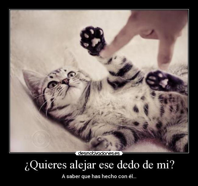 ¿Quieres alejar ese dedo de mi? -