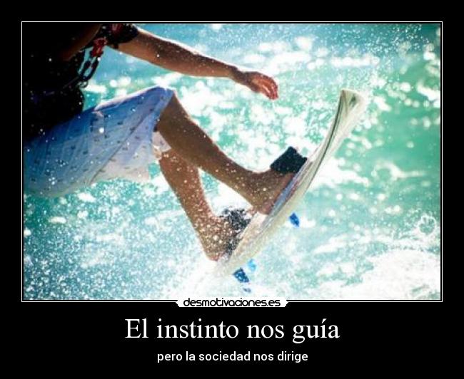 El instinto nos guía -