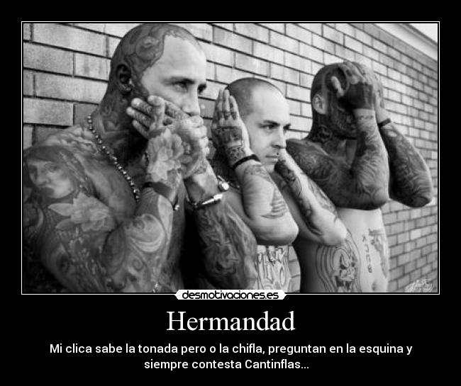 Hermandad - 