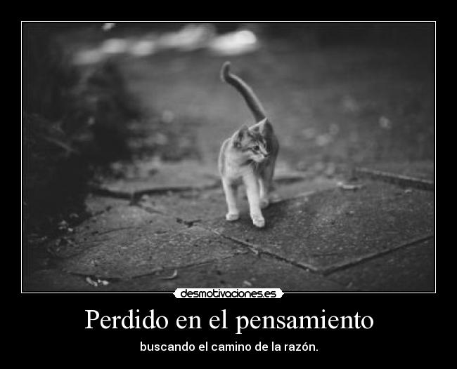 Perdido en el pensamiento - 