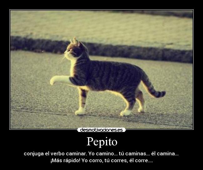 Pepito - conjuga el verbo caminar. Yo camino... tú caminas... él camina...
¡Más rápido! Yo corro, tú corres, él corre....