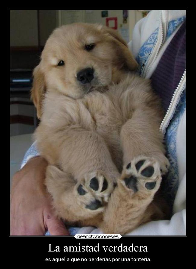 La amistad verdadera -