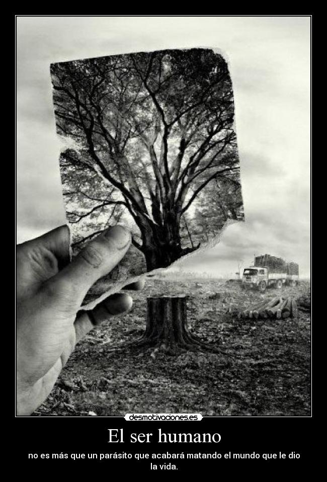 El ser humano - 
