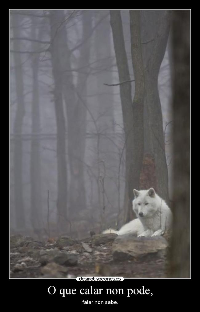 O que calar non pode, -