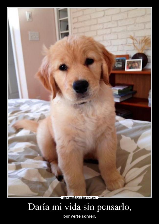 carteles vida lloro silencio uqiero abuuuu desmotivaciones