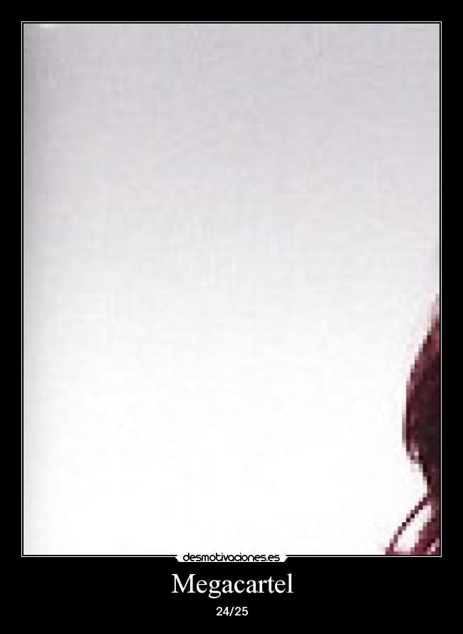 Megacartel - 24/25